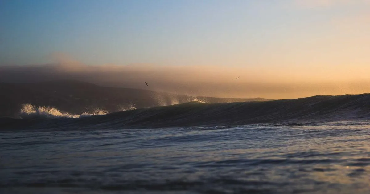 Featured image of post 固始方言百科：语音、词汇与语法特征全解析